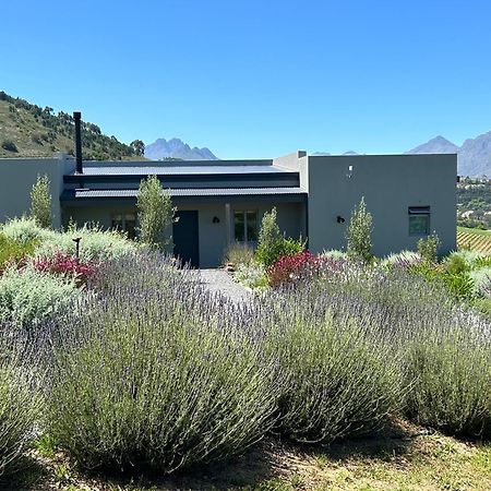 Windon Vineyard Farmhouse Stellenbosch Exteriér fotografie